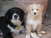 Photo - 1036 Felspar St