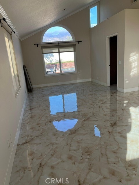 Photo - 9 Sarracenia