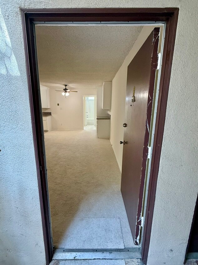 Floor Plan - Unit Nº 8 - Courtyard