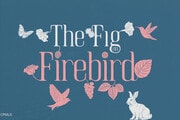 Photo - 5801 Firebird Ct