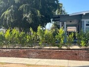 Photo - 1826 Lincoln Ave