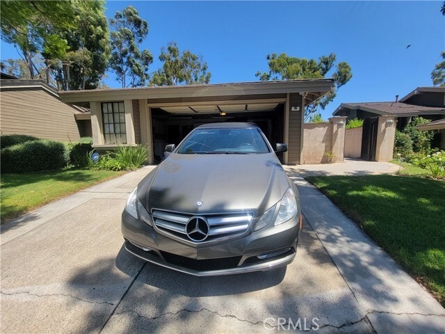 Photo - 5 Morning Glory