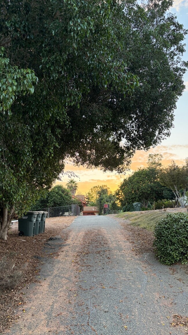 Photo - 1527 Calavo Rd