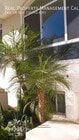Photo - 1629 E Palm Ave Apartment Unit 7