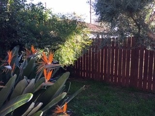 garden - 440 W Lemon Ave