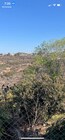 Pretty view of tecalote canyon - 6506 Lanston St Townhome