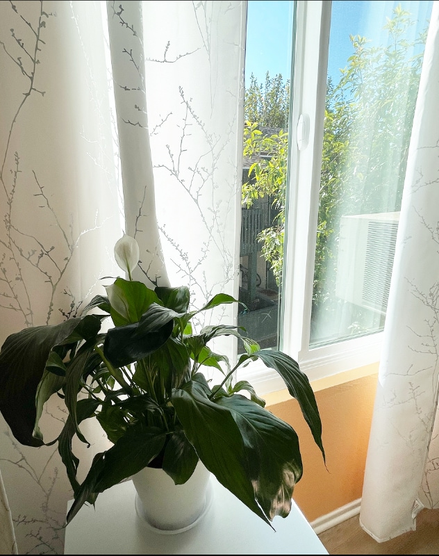 Photo - 23280 Orange Ave