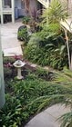 Photo - Redwood Terrace