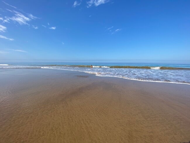 Photo - 133 Sea Urchin Ln