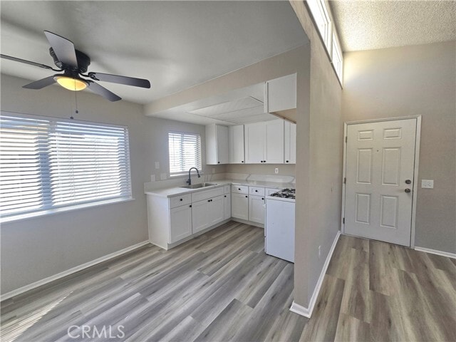 Building Photo - 2350 Osbun Rd Unit 48 Rental