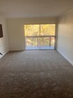Photo - 2 bedroom 2 bath condo available now!