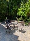 Back Yard/BBQ Area - 1945 Benecia Ave Apartments Unit Lower