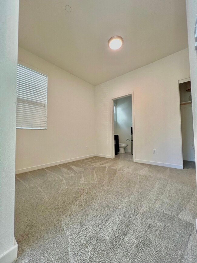 Photo - 2022 Tango Loop