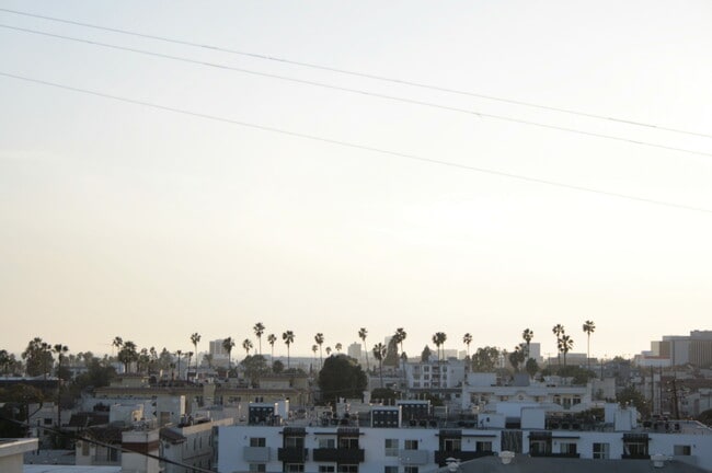 Rooftop 2 - 1301 S Westgate Ave Unit PH3