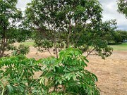 Photo - 124 Cartier Aisle