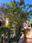 Photo - 212 3rd Ave Apartments Unit Ocean View Month to Month