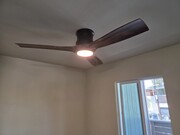 New Ceiling Fans - 1809 Cambridge Ave Apartments Unit 1809