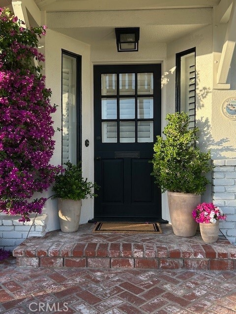 Photo - 449 Seaward Rd