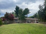 Backyard - 1640 Dwight St