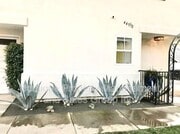 Photo - 445 1/2 Begonia Avenue