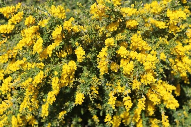 Building Photo - 55+ Community~ 2 Bed/2 Bath with Amazing Mountain Views for $1,595 a month!