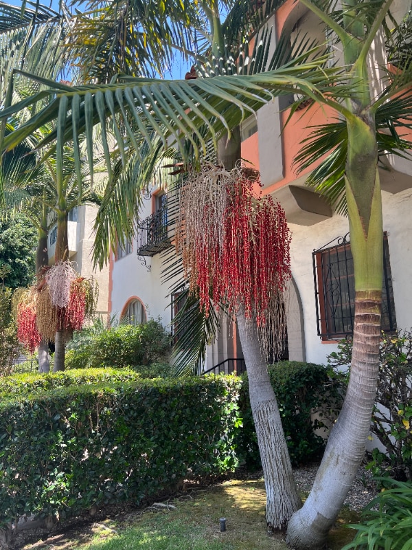 Photo - 420 S Detroit St Unit 8