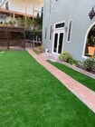 Large private yard - 6206 Temple Hill Dr Unit Lower