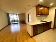 Living room and Kichen counter - 222 S Central Ave Unit 237