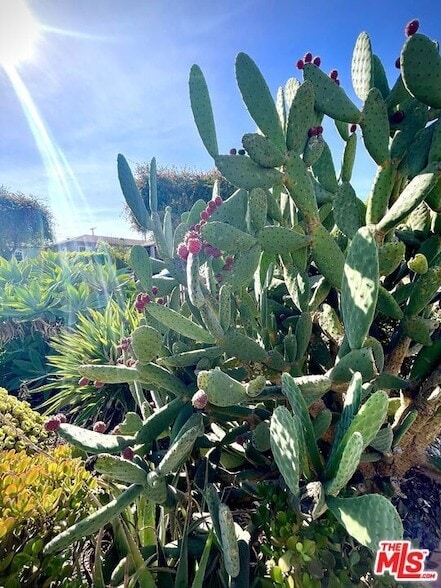 Photo - 3017 Urban Ave