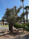 Photo - 76920 Florida Ave