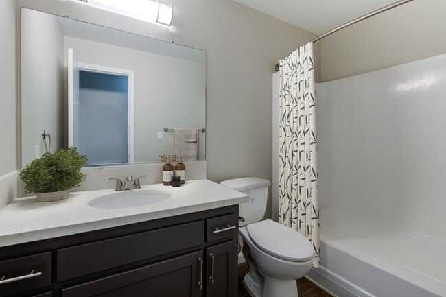 Photo - NOVO Apartments