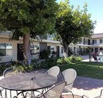 Photo - Garden Bay Apartments