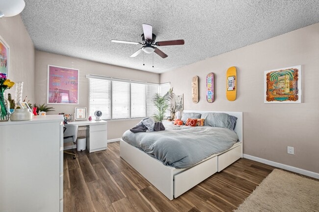 Building Photo - No back house!