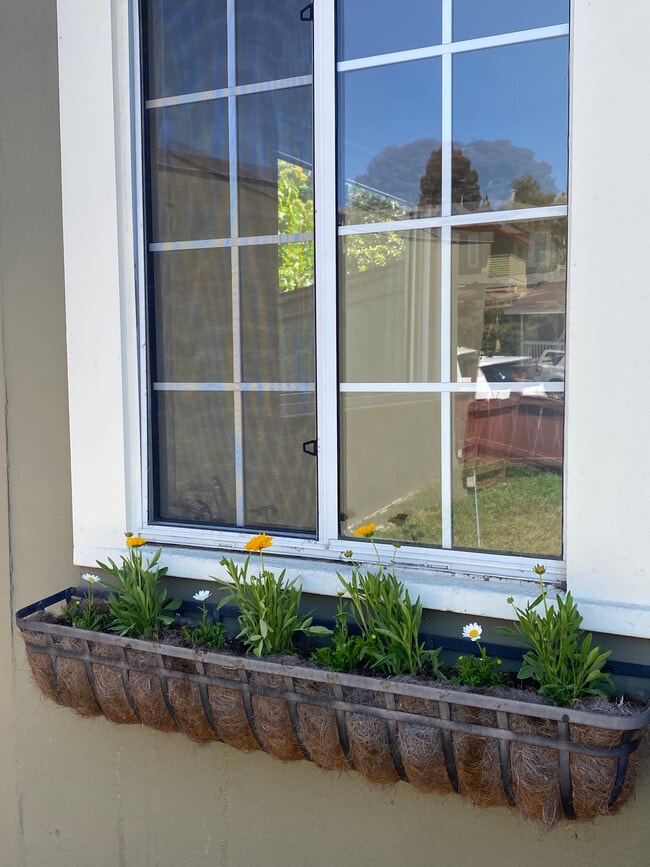 Photo - 2103 Island Ave Unit #4