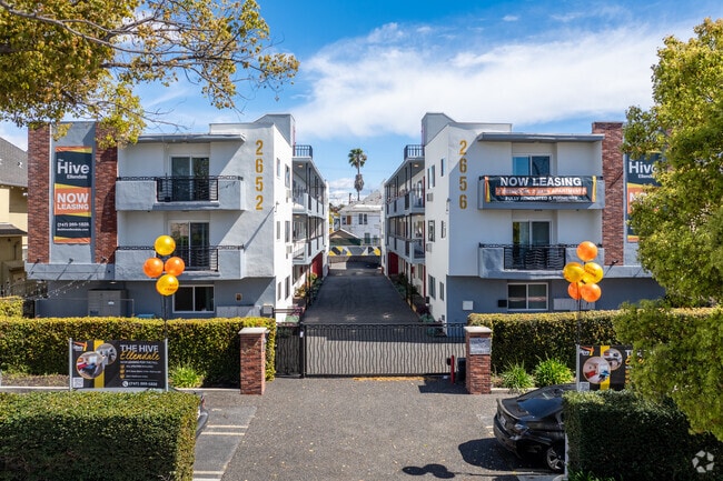 The Hive On Ellendale USC Student Housing - The Hive On Ellendale USC Student Housing Apartments