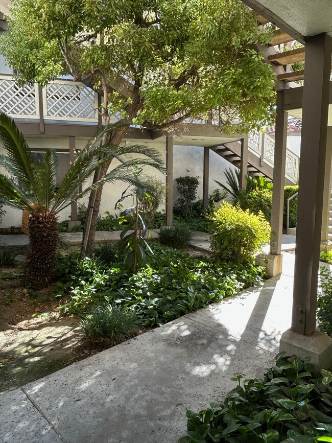 Photo - 3429 Legato Ct