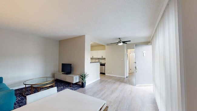 Photo - The DLP Hollywood