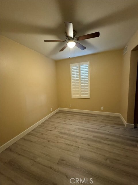 Photo - 30 Perennial