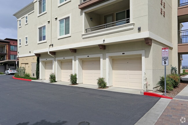 Photo - Anton Legacy