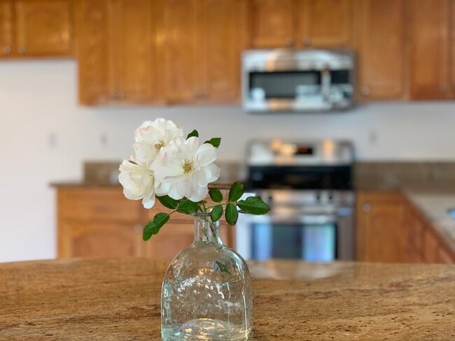 Stainless steel appliances - 4635 Lindblade Dr