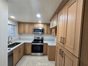 Photo - 27823 Violet