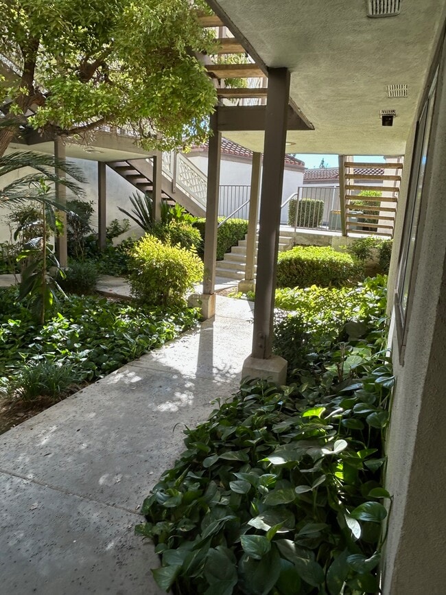 Photo - 3429 Legato Ct