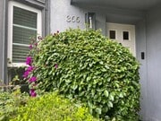 Photo - 366 S Crescent Dr House