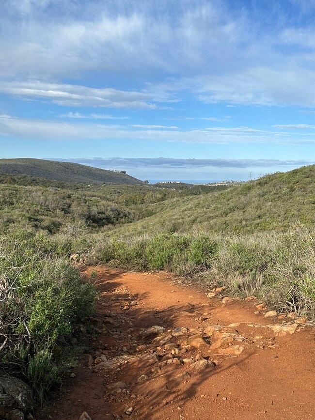 Photo - 20840 Elfin Forest Rd