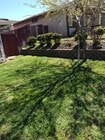 Photo - 42030 Blueflax Ave