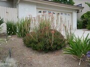 Photo - 1917 Galway Ln Townhome