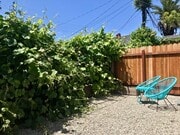 Private west-facing fenced backyard for lovely sunsets - 1237 N Commonwealth Ave Unit 1
