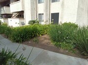 Front of unit - 28947 Thousand Oaks Blvd Unit 115