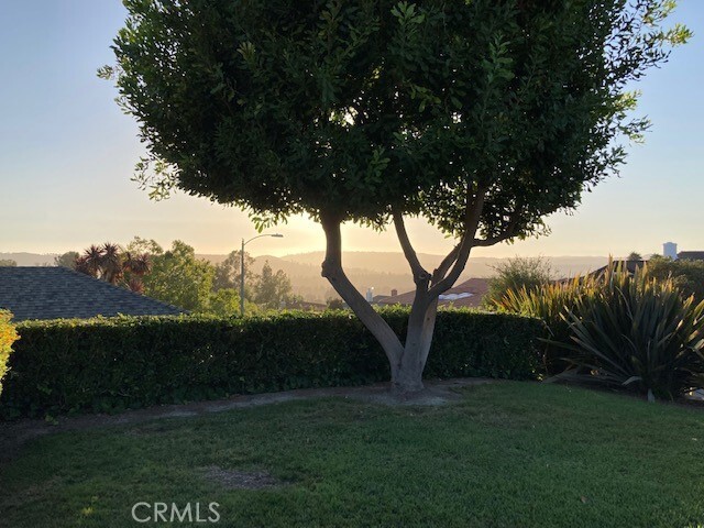 Photo - 25262 Via Piedra Roja