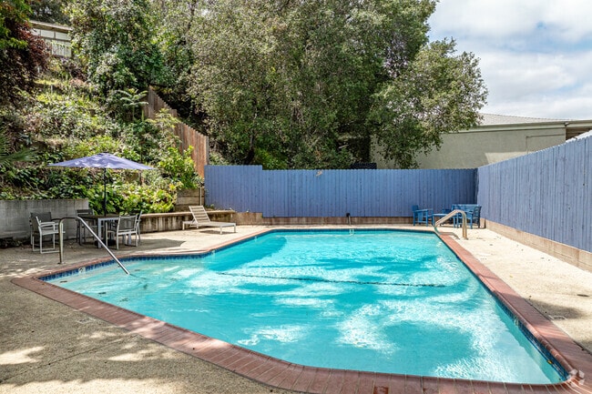 Pool - 317 Monterey Rd
